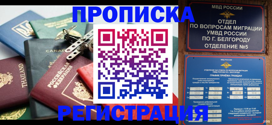 временная регистрация недорого в Павловске